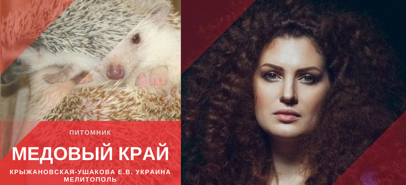 КРЫЖАНОВСКАЯ-УШАКОВА Е.В. «МЕДОВЫЙ КРАЙ»