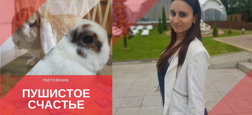 ВОРОНОВА Е. А. «ПУШИСТОЕ СЧАСТЬЕ»