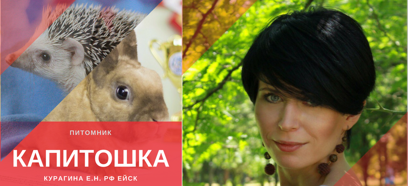 КУРАГИНА Е.Н. «КАПИТОШКА»
