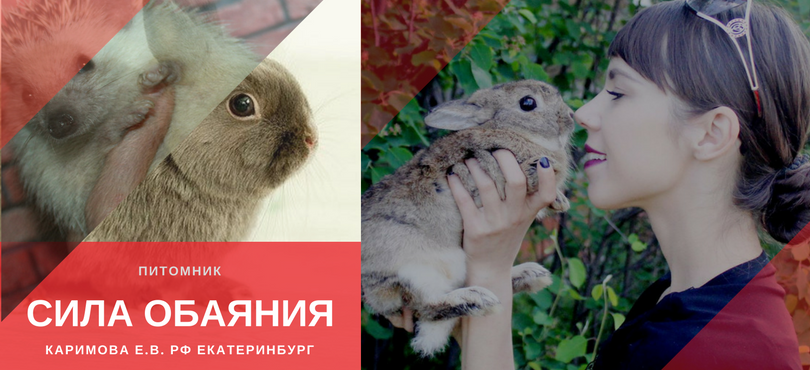 КАРИМОВА Е.В. «СИЛА ОБАЯНИЯ»