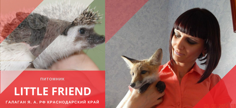 ГАЛАГАН Я. А. «LITTLE FRIEND»
