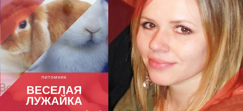БЕСЕДИНА А. «ВЕСЕЛАЯ ЛУЖАЙКА»